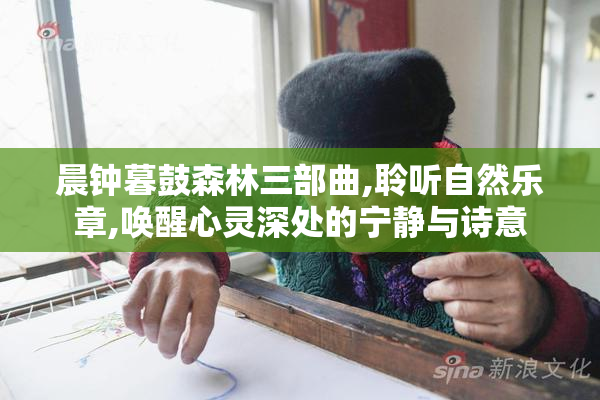 晨钟暮鼓森林三部曲,聆听自然乐章,唤醒心灵深处的宁静与诗意