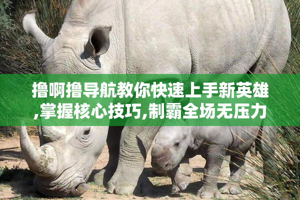 撸啊撸导航教你快速上手新英雄,掌握核心技巧,制霸全场无压力