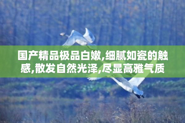 国产精品极品白嫩,细腻如瓷的触感,散发自然光泽,尽显高雅气质