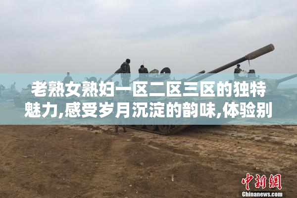 老熟女熟妇一区二区三区的独特魅力,感受岁月沉淀的韵味,体验别样