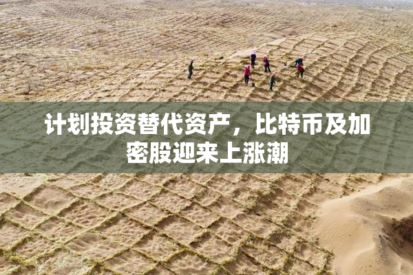 计划投资替代资产，比特币及加密股迎来上涨潮