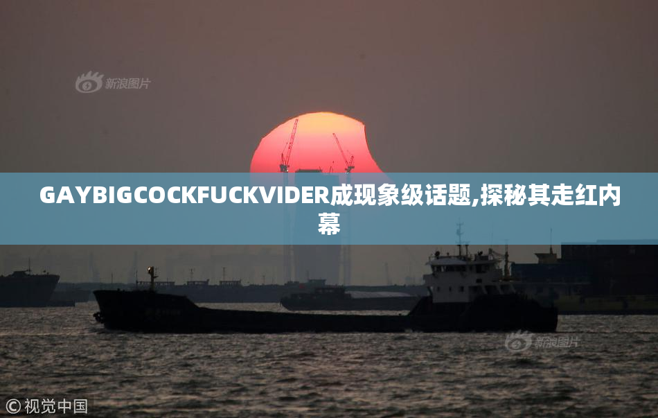 GAYBIGCOCKFUCKVIDER成现象级话题,探秘其走红内幕
