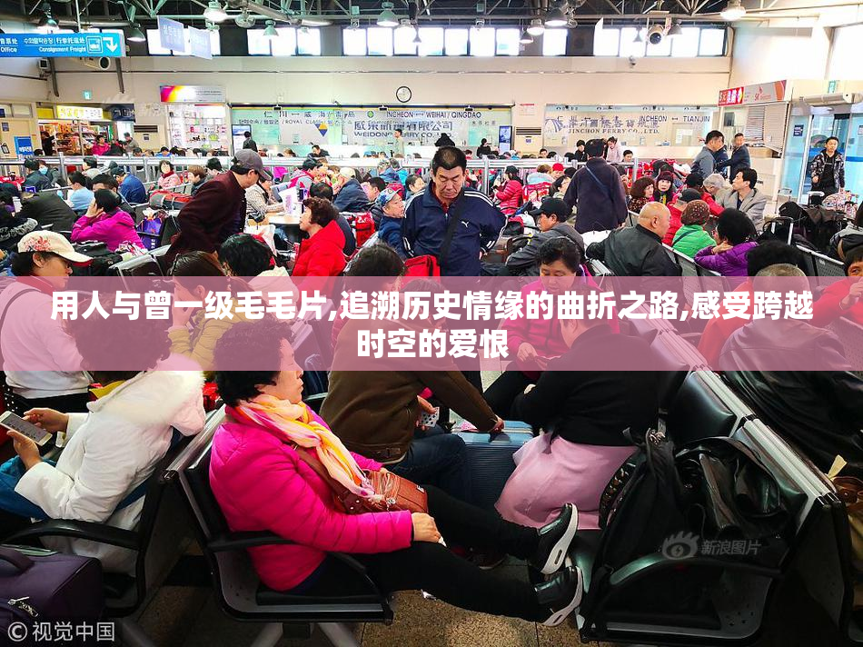 用人与曾一级毛毛片,追溯历史情缘的曲折之路,感受跨越时空的爱恨