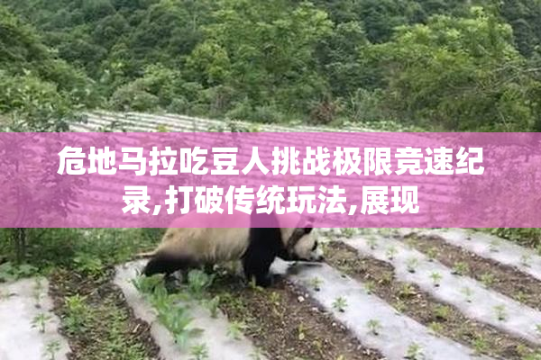 危地马拉吃豆人挑战极限竞速纪录,打破传统玩法,展现