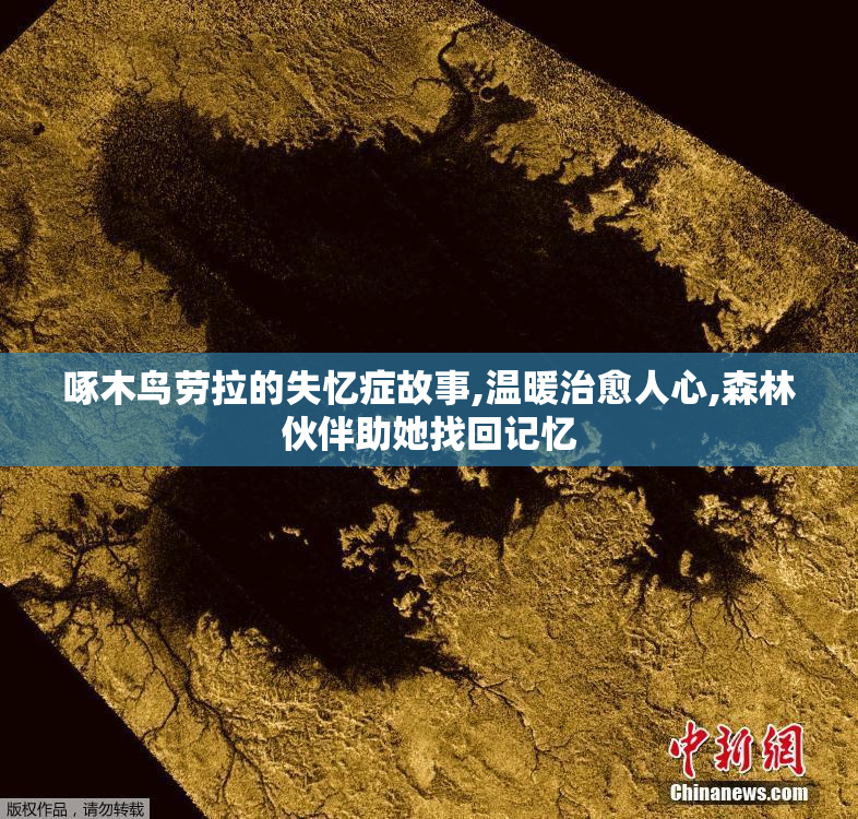啄木鸟劳拉的失忆症故事,温暖治愈人心,森林伙伴助她找回记忆
