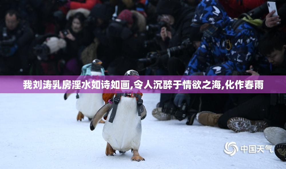 我刘涛乳房淫水如诗如画,令人沉醉于情欲之海,化作春雨