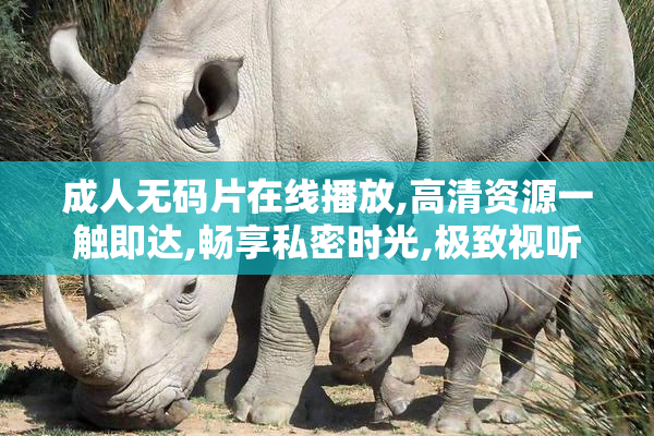 成人无码片在线播放,高清资源一触即达,畅享私密时光,极致视听