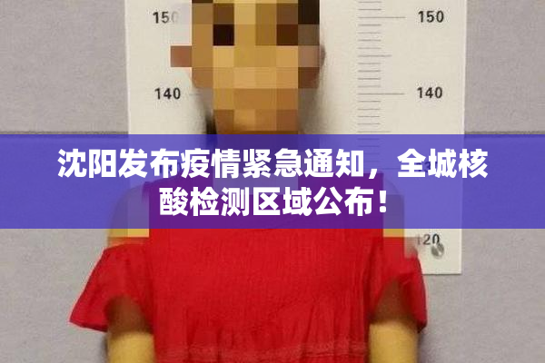 沈阳发布疫情紧急通知，全城核酸检测区域公布！