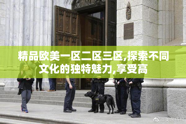 精品欧美一区二区三区,探索不同文化的独特魅力,享受高