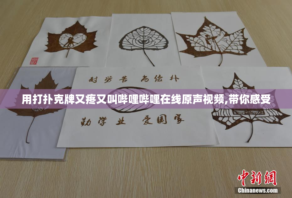 用打扑克牌又疼又叫哔哩哔哩在线原声视频,带你感受