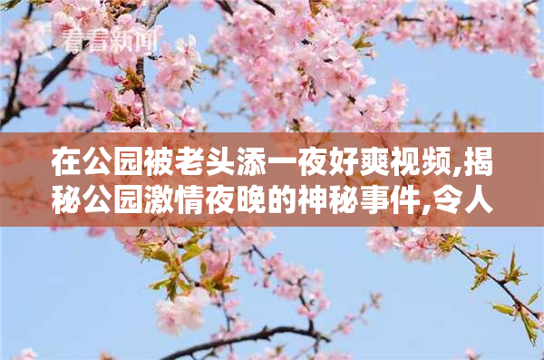 在公园被老头添一夜好爽视频,揭秘公园激情夜晚的神秘事件,令人
