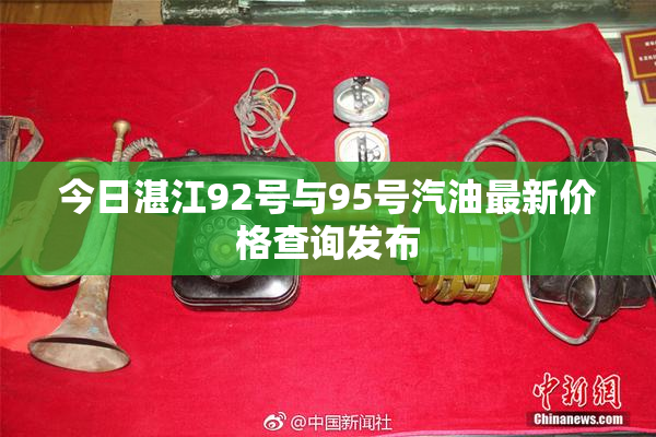 今日湛江92号与95号汽油最新价格查询发布