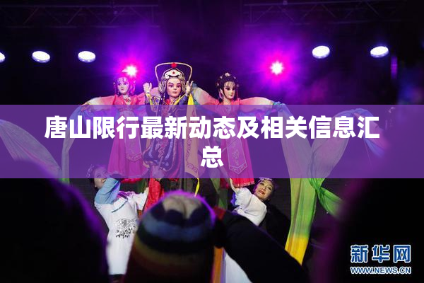 唐山限行最新动态及相关信息汇总