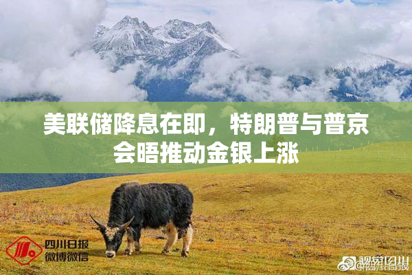 美联储降息在即，特朗普与普京会晤推动金银上涨