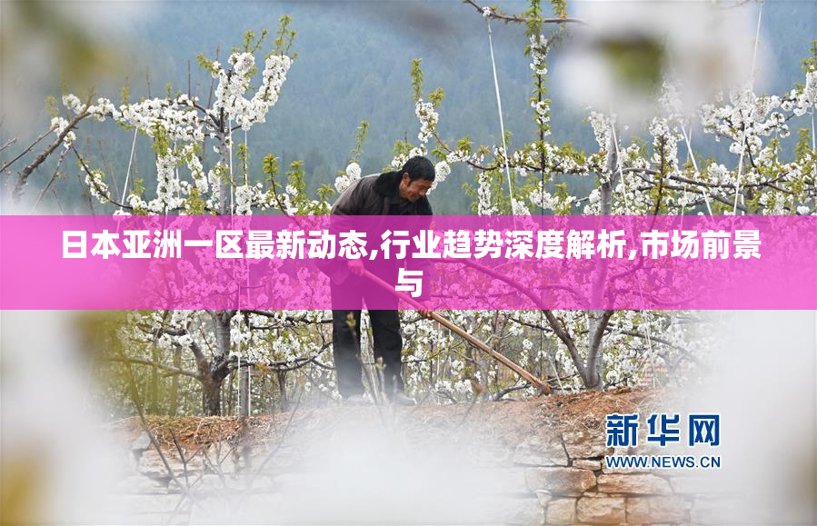 日本亚洲一区最新动态,行业趋势深度解析,市场前景与