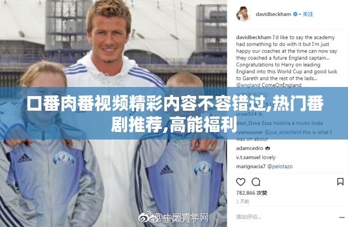 口番肉番视频精彩内容不容错过,热门番剧推荐,高能福利