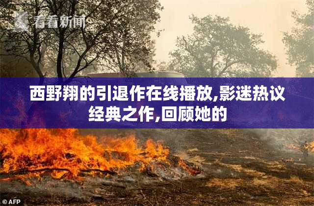 西野翔的引退作在线播放,影迷热议经典之作,回顾她的