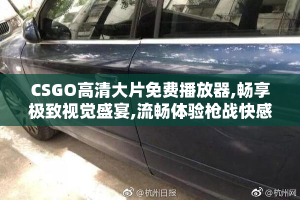 CSGO高清大片免费播放器,畅享极致视觉盛宴,流畅体验枪战快感