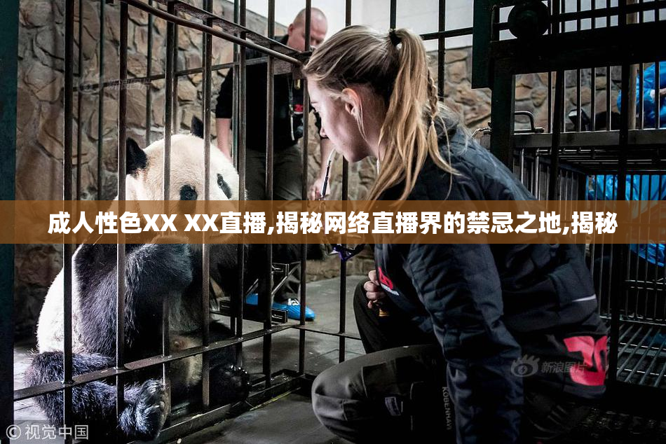 成人性色XX XX直播,揭秘网络直播界的禁忌之地,揭秘