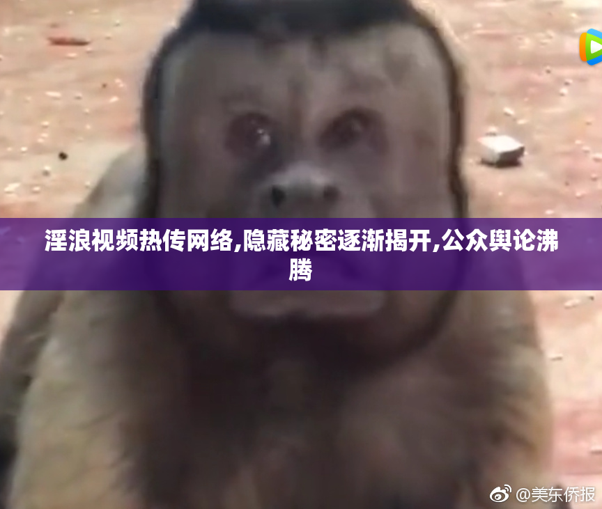 淫浪视频热传网络,隐藏秘密逐渐揭开,公众舆论沸腾