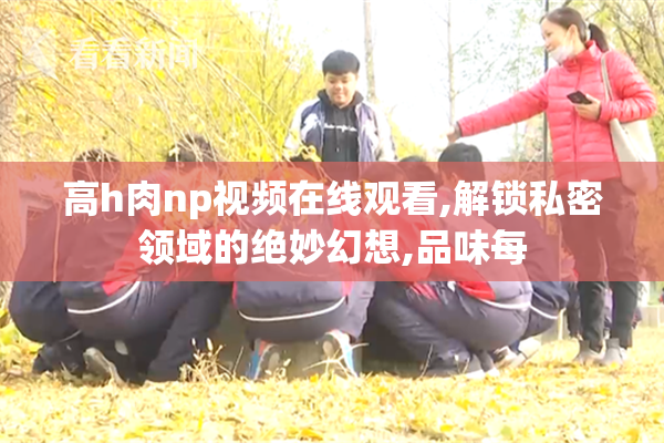 高h肉np视频在线观看,解锁私密领域的绝妙幻想,品味每