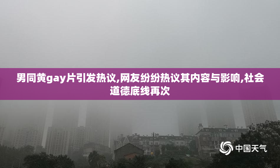 男同黄gay片引发热议,网友纷纷热议其内容与影响,社会道德底线再次