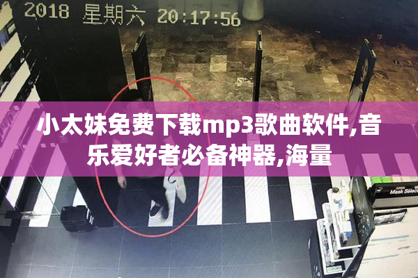 小太妹免费下载mp3歌曲软件,音乐爱好者必备神器,海量