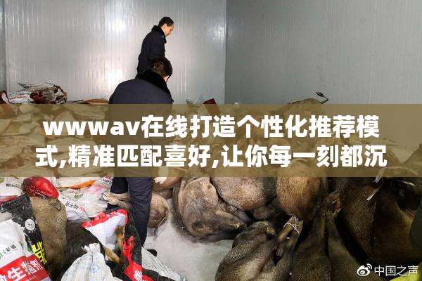 wwwav在线打造个性化推荐模式,精准匹配喜好,让你每一刻都沉醉其中