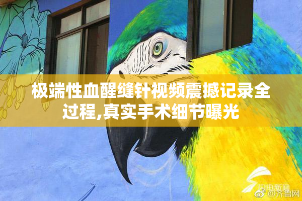 极端性血醒缝针视频震撼记录全过程,真实手术细节曝光