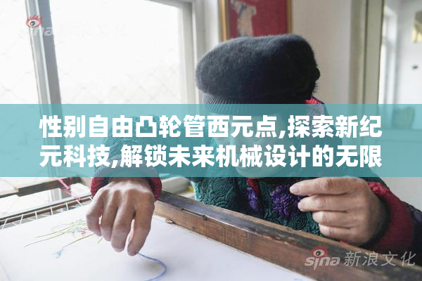 性别自由凸轮管西元点,探索新纪元科技,解锁未来机械设计的无限可能