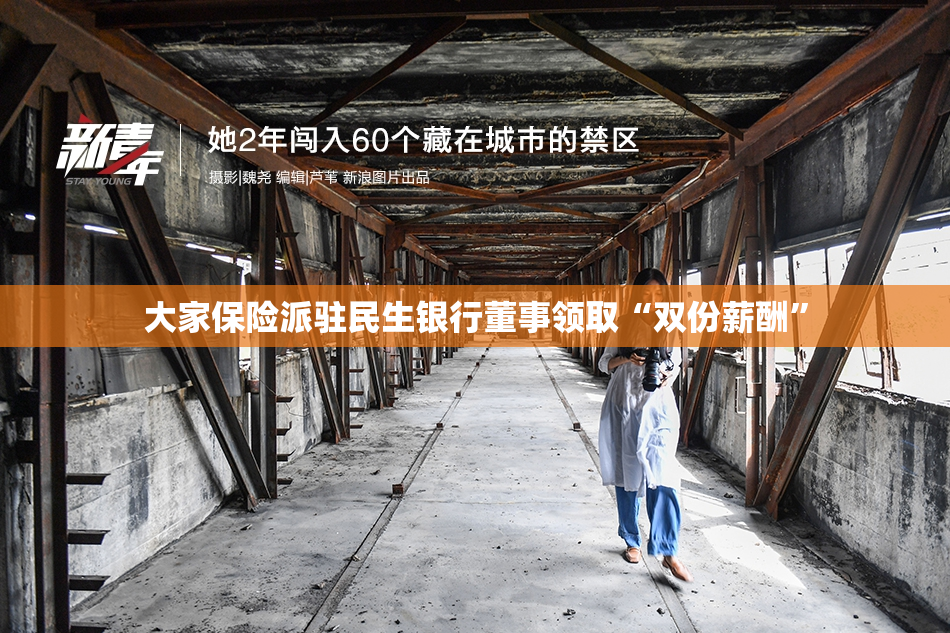 大家保险派驻民生银行董事领取“双份薪酬”