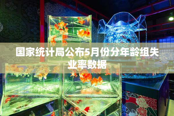 国家统计局公布5月份分年龄组失业率数据