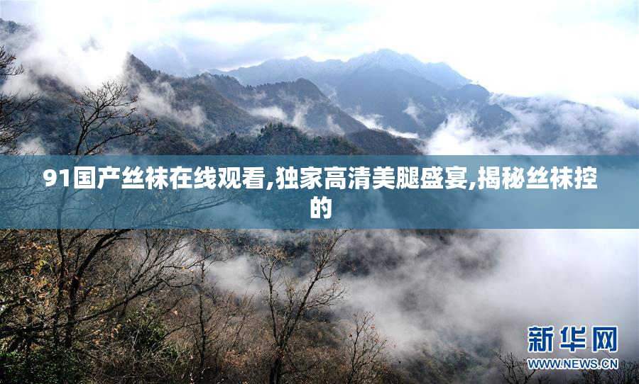 91国产丝袜在线观看,独家高清美腿盛宴,揭秘丝袜控的