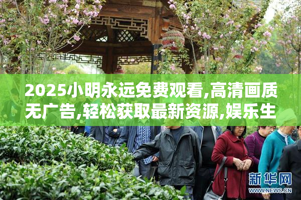 2025小明永远免费观看,高清画质无广告,轻松获取最新资源,娱乐生活