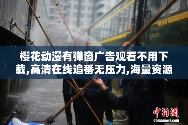 樱花动漫有弹窗广告观看不用下载,高清在线追番无压力,海量资源