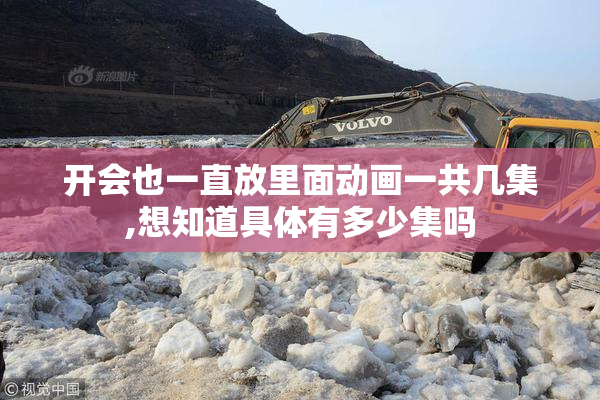 开会也一直放里面动画一共几集,想知道具体有多少集吗