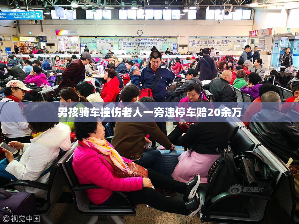 男孩骑车撞伤老人一旁违停车赔20余万