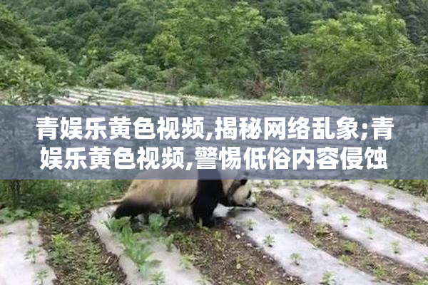 青娱乐黄色视频,揭秘网络乱象;青娱乐黄色视频,警惕低俗内容侵蚀