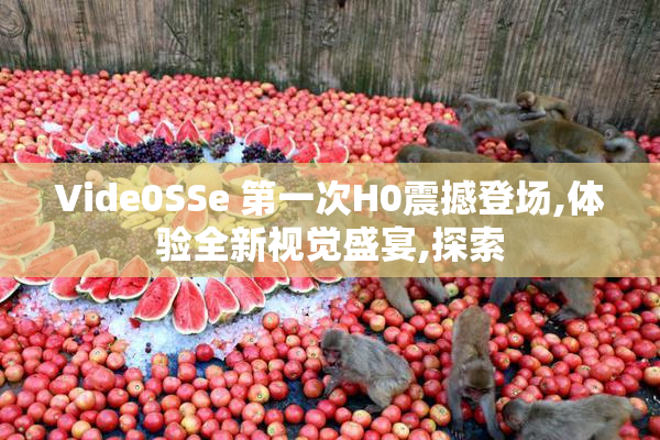 Vide0SSe 第一次H0震撼登场,体验全新视觉盛宴,探索