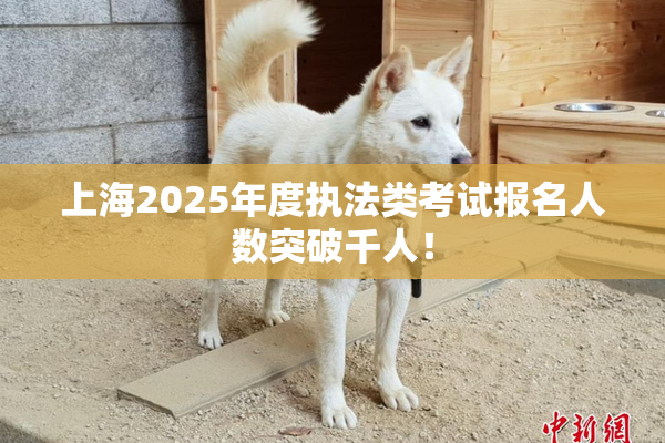 上海2025年度执法类考试报名人数突破千人！