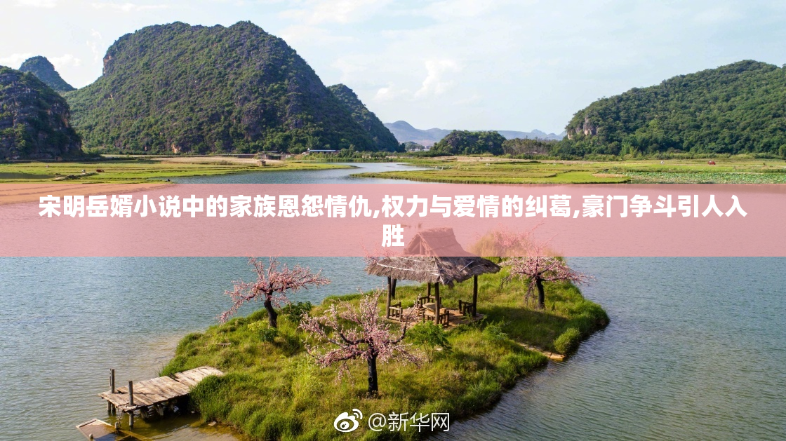 宋明岳婿小说中的家族恩怨情仇,权力与爱情的纠葛,豪门争斗引人入胜
