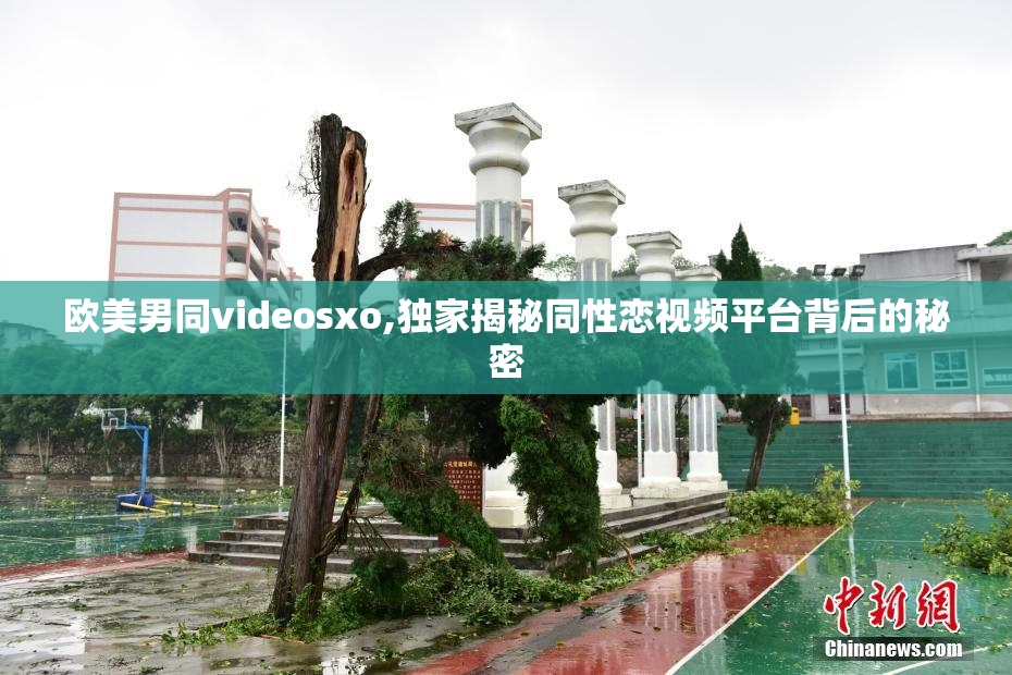 欧美男同videosxo,独家揭秘同性恋视频平台背后的秘密