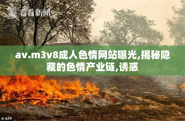 av.m3v8成人色情网站曝光,揭秘隐藏的色情产业链,诱惑