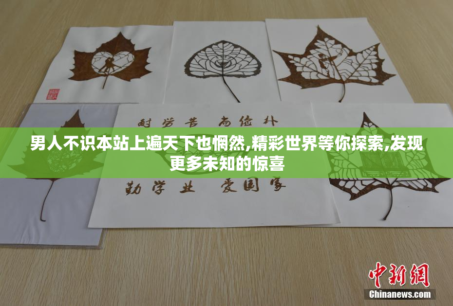 男人不识本站上遍天下也惘然,精彩世界等你探索,发现更多未知的惊喜