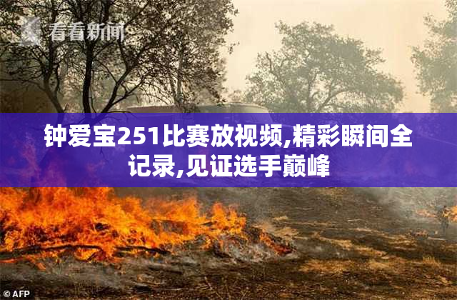钟爱宝251比赛放视频,精彩瞬间全记录,见证选手巅峰