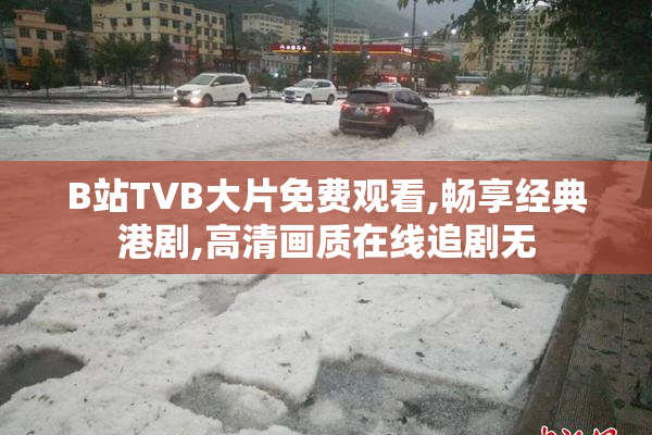 B站TVB大片免费观看,畅享经典港剧,高清画质在线追剧无