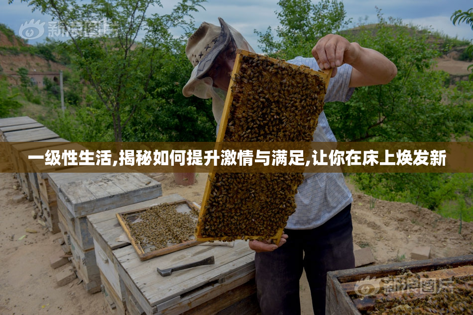 一级性生活,揭秘如何提升激情与满足,让你在床上焕发新