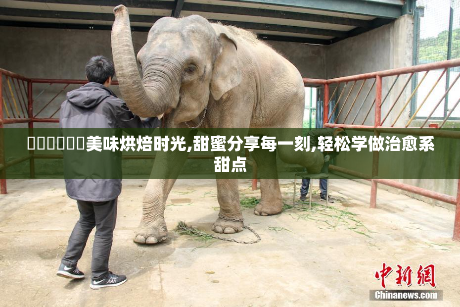 馃敒馃悢馃幈美味烘焙时光,甜蜜分享每一刻,轻松学做治愈系甜点