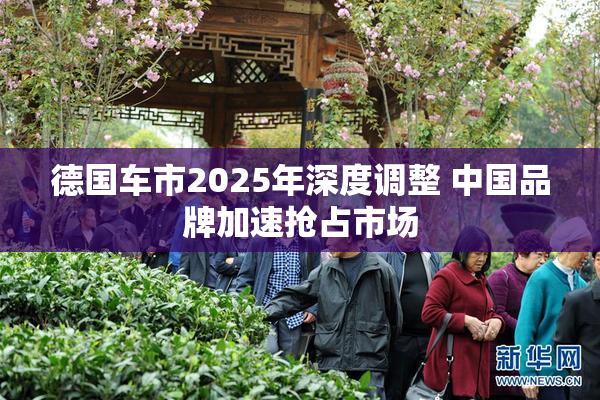 德国车市2025年深度调整 中国品牌加速抢占市场