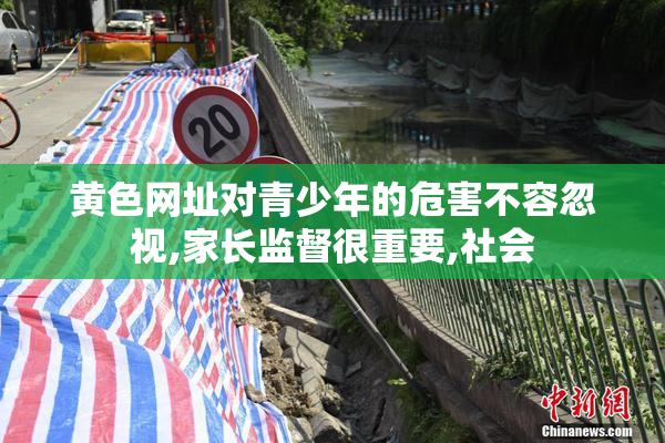 黄色网址对青少年的危害不容忽视,家长监督很重要,社会